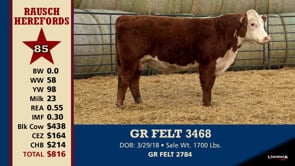 Lot #85 - GR FELT 3468