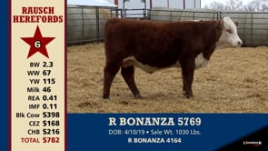 Lot #6 - R BONANAZA 5769