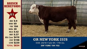 Lot #81 - GR NEW YORK 2578
