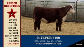 Lot #7 - R 4EVER 5199