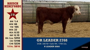 Lot #78 - GR LEADER 2768