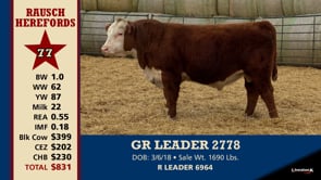 Lot #77 - GR LEADER 2778