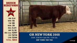 Lot #74 - GR NEW YORK 2668