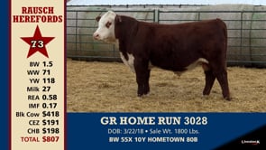 Lot #73 - GR HOME RUN 3028