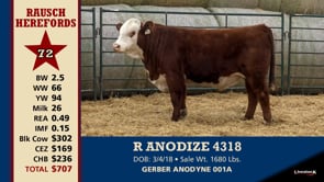 Lot #72 - R ANODIZE 4318