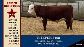 Lot #71 - R 4EVER 5168