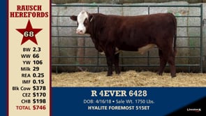 Lot #68 - R 4EVER 6428