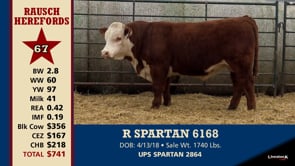 Lot #67 - R SPARTAN 6168