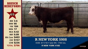 Lot #65 - R NEW YORK 5908