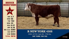 Lot #64 - R NEW YORK 4508