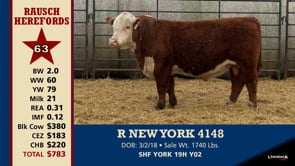 Lot #63 - R NEW YORK 4148