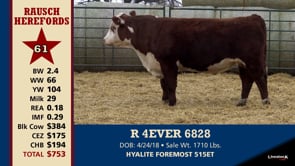 Lot #61 - R 4EVER 6228