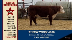 Lot #60 - R NEW YORK 4608
