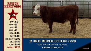 Lot #59 - R 3RD REVOLUTION 7228