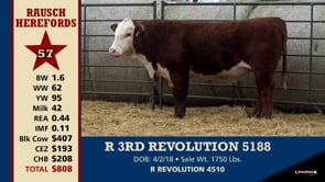 Lot #57 - R 3RD REVOLUTION 5188