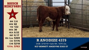 Lot #8 - R ANODIZE 4379