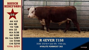 Lot #56 - R 4EVER 7158
