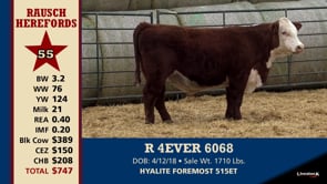 Lot #55 - R 4EVER 6068
