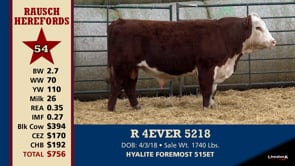 Lot #54 - R 4EVER 5218