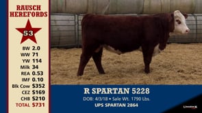 Lot #53 - R SPARTAN 5228
