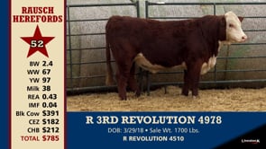 Lot #52 - R 3RD REVOLUTION 4978