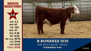 Lot #50 - R BONANZA 5039