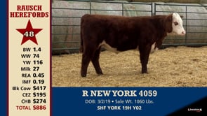 Lot #48 - R NEW YORK 4059