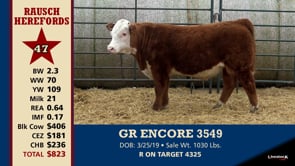 Lot #47 - GR ENCORE 3549