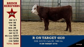 Lot #46 - R ON TARGET 4839