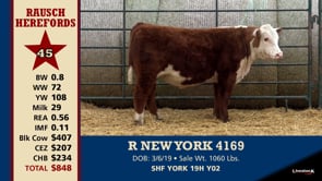 Lot #45 - R NEW YORK 4169