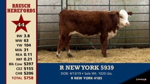 Lot #44 - R NEW YORK 2939