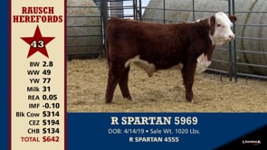 Lot #43 - R SPARTAN 5969