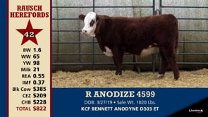 Lot #42 - R ANODIZE 4599