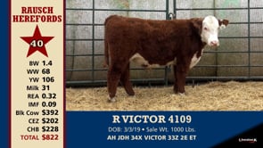 Lot #40 - R VICTOR 4109