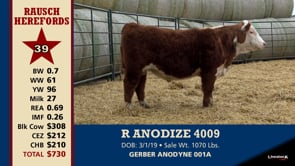 Lot #39 - R ANODIZE 4009
