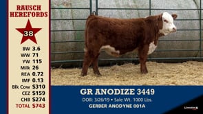 Lot #38 - GR ANODIZE 3449