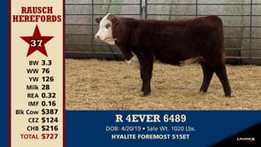 Lot #37 - R 4EVER 6489