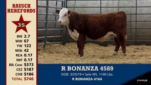 Lot #35 - R BONANZA 4589