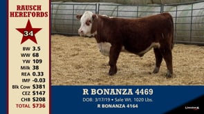 Lot #34 - R BONANZA 4469