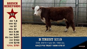Lot #32 - R TRUST 5719