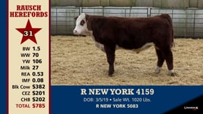 Lot #31 - R NEW YORK 4159