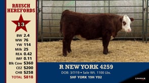 Lot #13 - R NEW YORK 4259