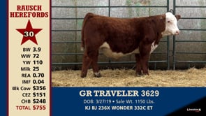 Lot #30 - GR TRAVELER 3629