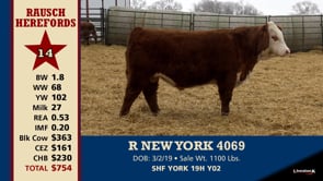Lot #14 - R NEW YORK 4069