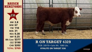 Lot #28 - R ON TARGET 4329