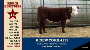 Lot #15 - R NEW YORK 4139