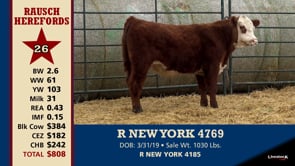 Lot #26 - R NEW YORK 4769