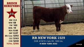 Lot #25 - RR NEW YORK 1529