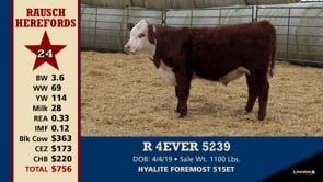 Lot #24 - R 4EVER 5239