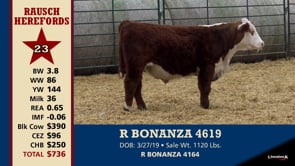 Lot #23 - R BONANZA 4619